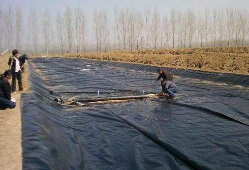 複合荔枝视频黄下载膜在紅旗河工程應用 所向披靡