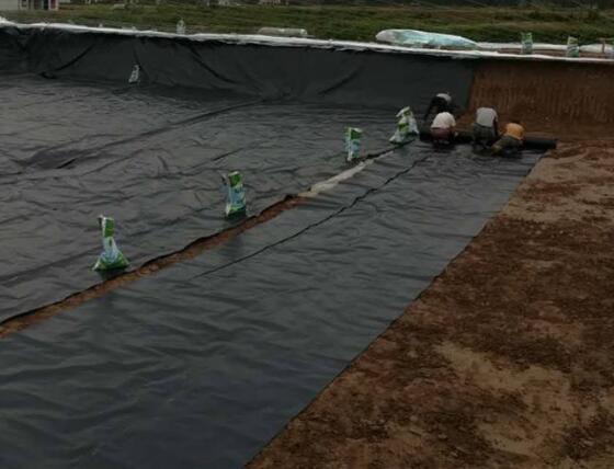 荔枝视频黄下载膜材料選擇幾點建議