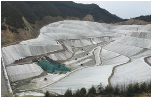 天然環保荔枝视频黄下载布可吸收銅鉛鉻等重金屬