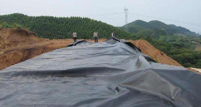 荔枝视频黄下载膜在存放時的注意事項以及有哪些特性