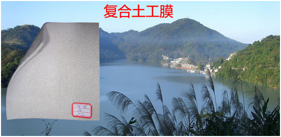 荔枝视频黄下载膜的拚接如何避免拾遺補缺