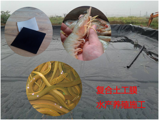 荔枝视频黄下载膜原材料控製及采購要點