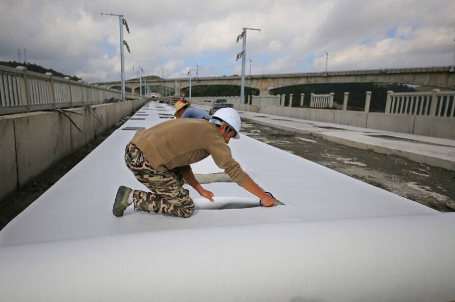 荔枝视频黄下载布路基排水的利用率