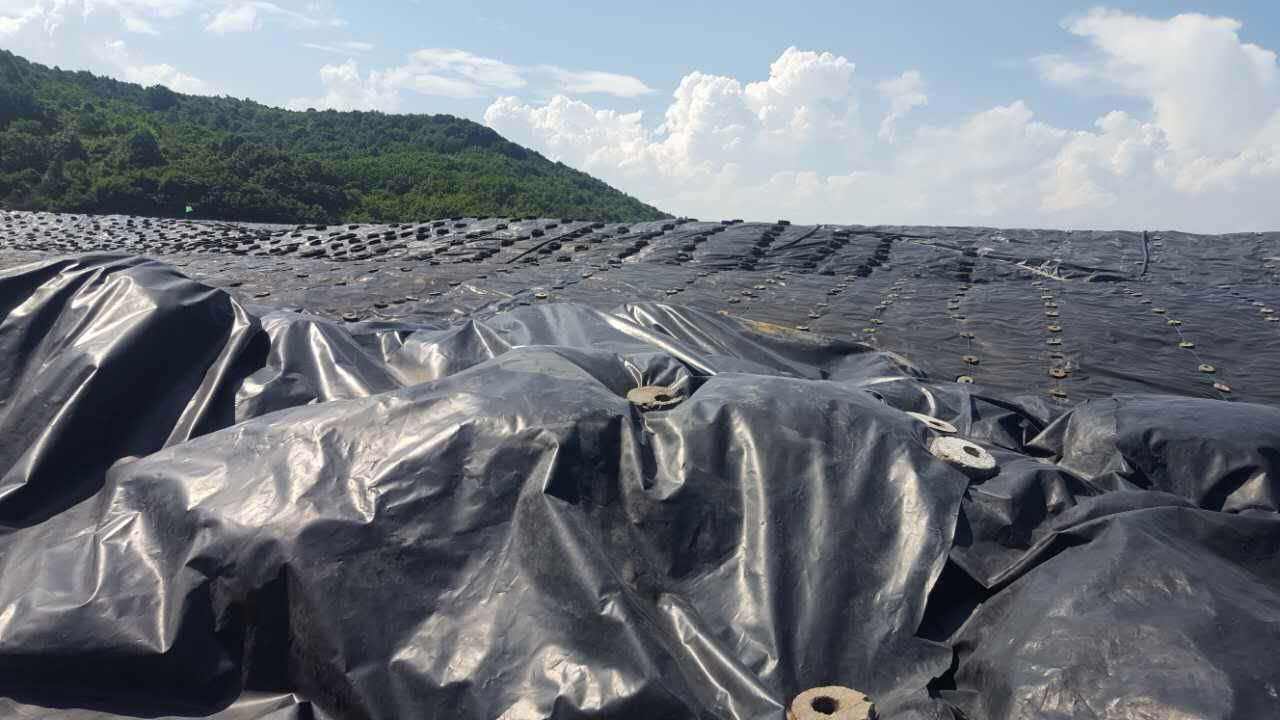 戈壁灘蓄水池選用HDPE荔枝视频黄下载膜的緣由