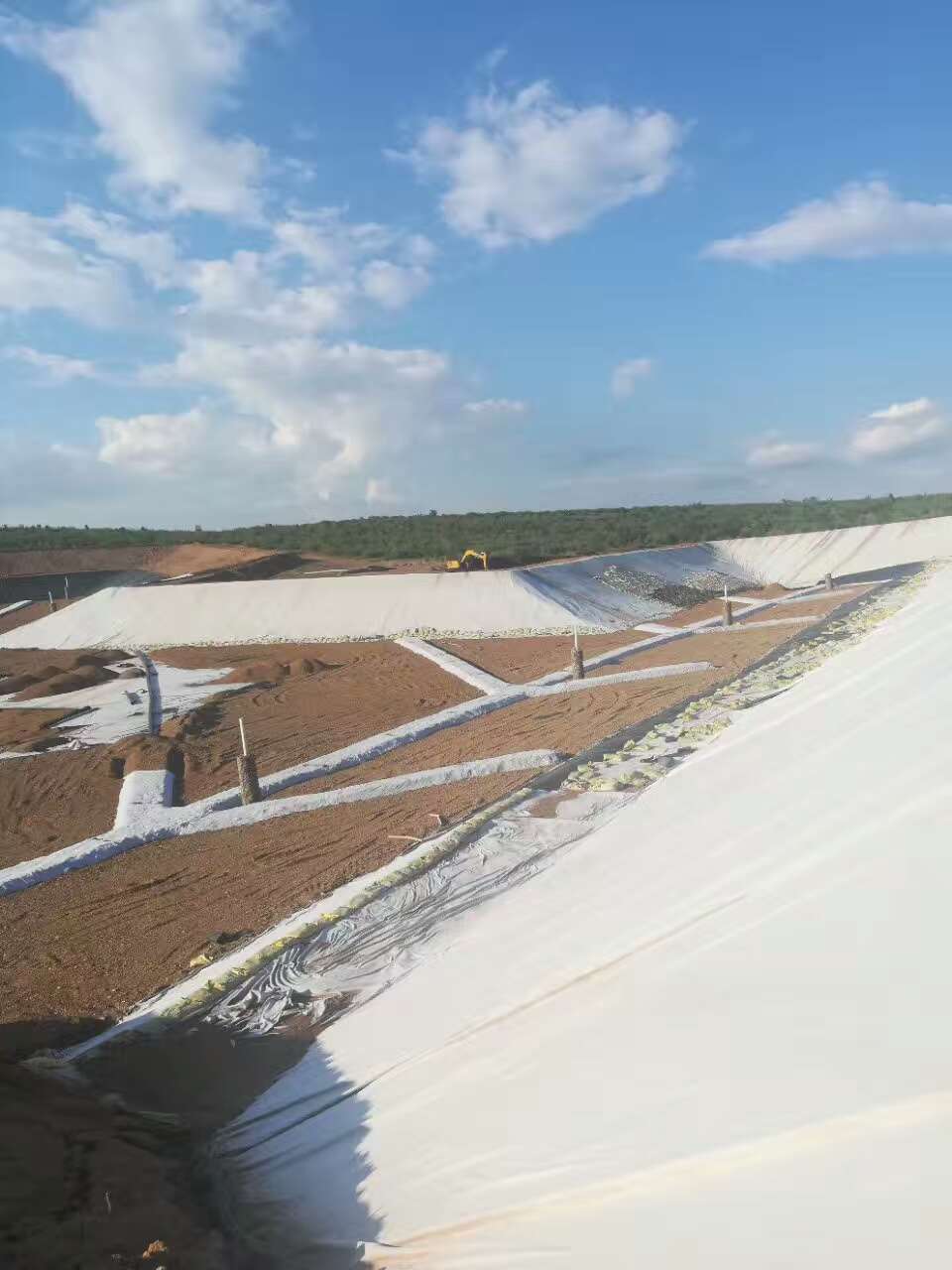複合荔枝视频黄下载膜對水庫進行有效的滲流控製十分必要