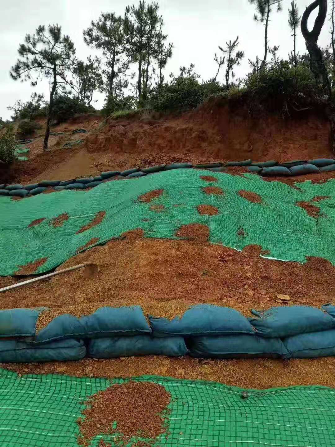 新型荔枝视频黄下载材料護坡建“會呼吸”的生態駁岸