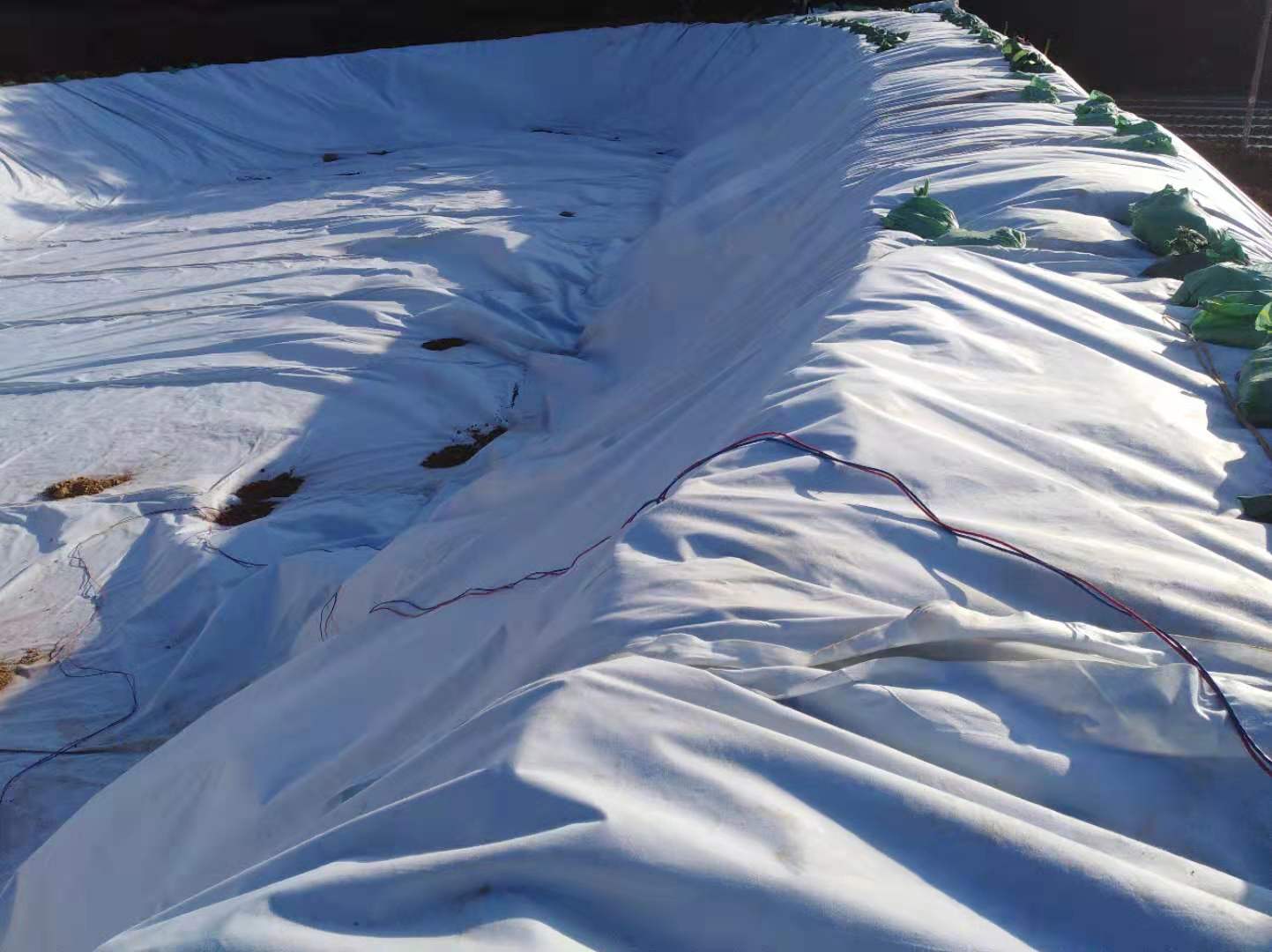 複合荔枝视频黄下载膜方式總體與防水層結構加固的經濟收益