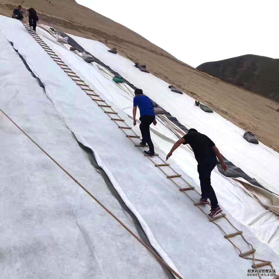 荔枝黄色网站等各種方案工程風險對比