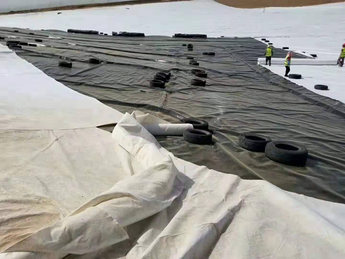 荔枝视频黄下载膜等荔枝视频黄下载合成材料六類基本功能