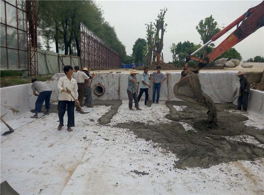 鈉基荔枝黄色网站成就人工湖內花美魚肥