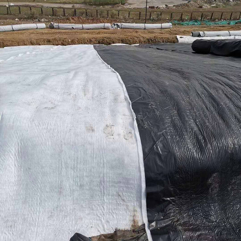 蒸發塘荔枝视频黄下载膜技術性能指標參數具體是多少？