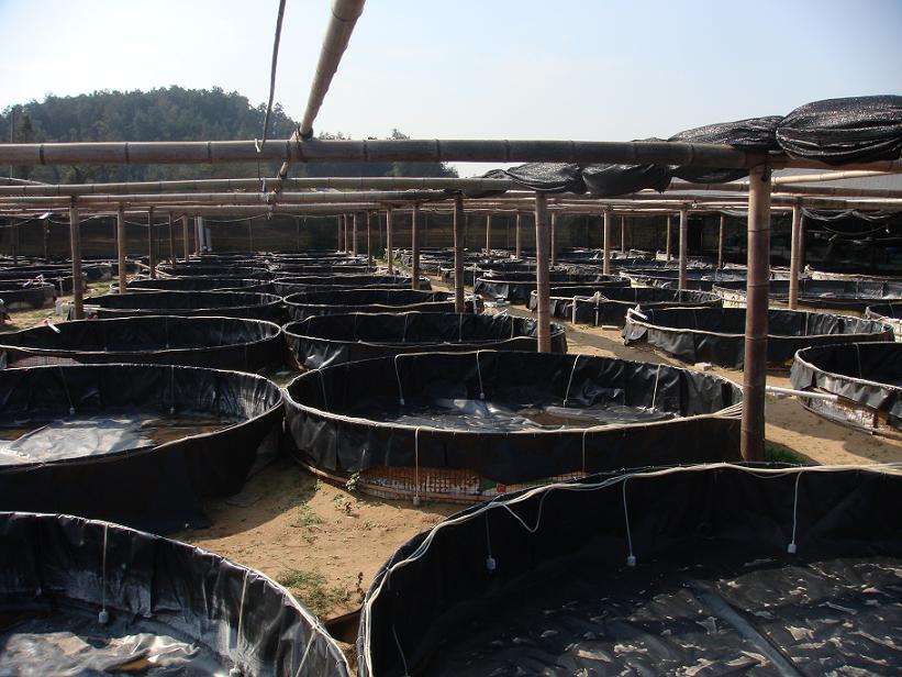 請參考石油儲罐基礎設施荔枝视频黄下载膜施工方法