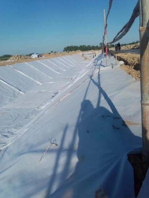河道治理采用荔枝视频黄下载布施工工藝的原因分析