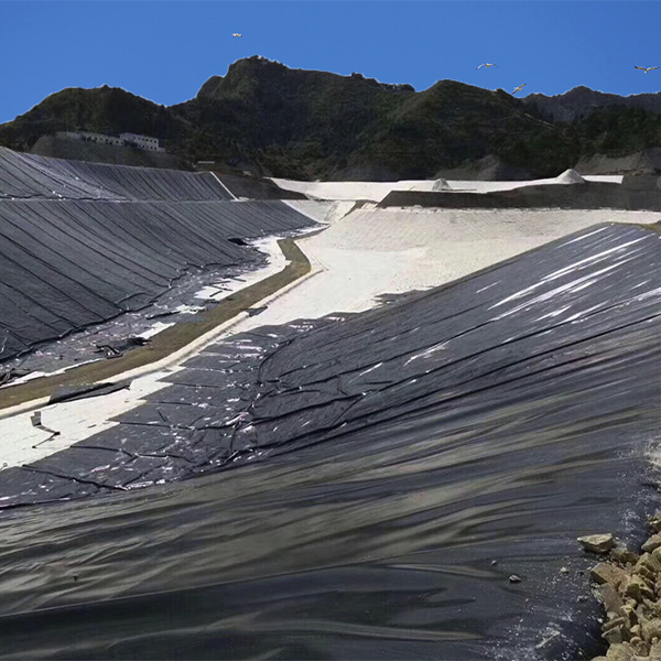複合荔枝视频黄下载膜助力大藤峽一期上遊土石圍堰填築