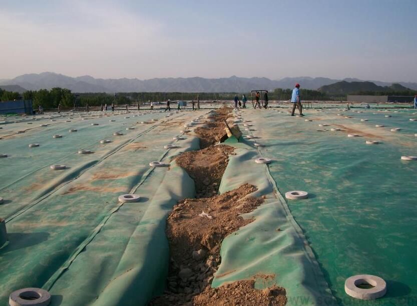 高密度聚乙烯荔枝视频黄下载膜的成型工藝有兩種類型  推廣前景廣闊