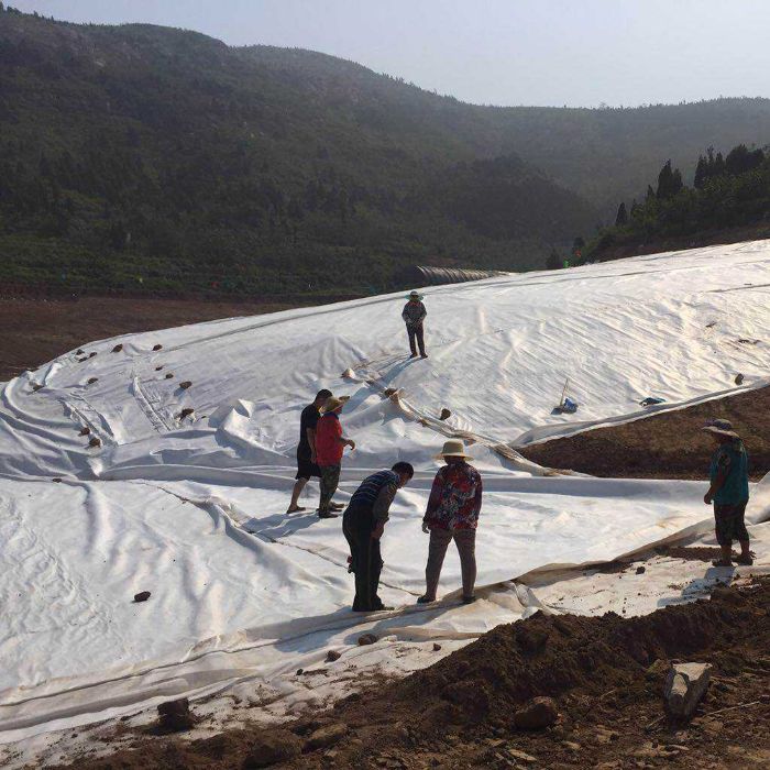 防水荔枝视频黄下载膜可以防止地下水上升而對路基產生的不利影響
