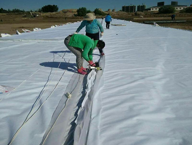 沿海地區儲油庫區防滲荔枝视频黄下载膜施工工況