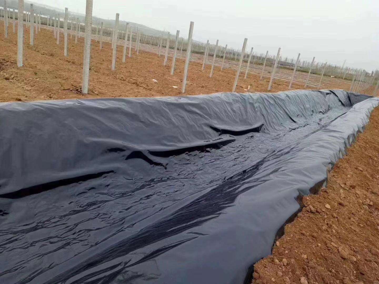荔枝视频黄下载膜常用於垃圾填埋場、水庫等，其滲透性能極其重要