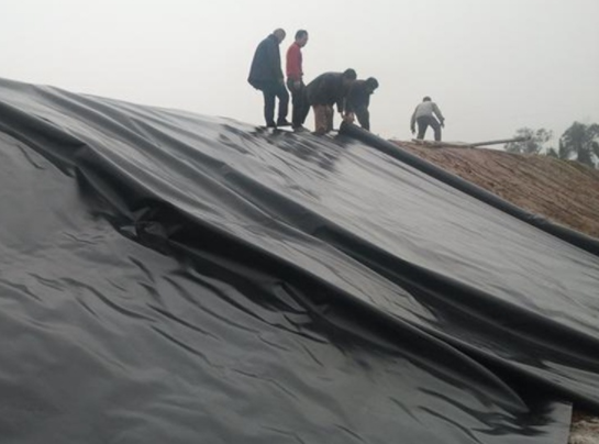 荔枝视频黄下载膜在堤防工程、河湖治理工程等減滲治理中都得到了很好的應用