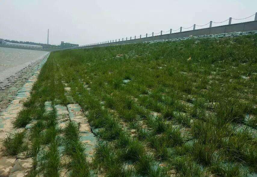 常用的海島邊坡修複技術有哪些？如何修複海島邊坡？