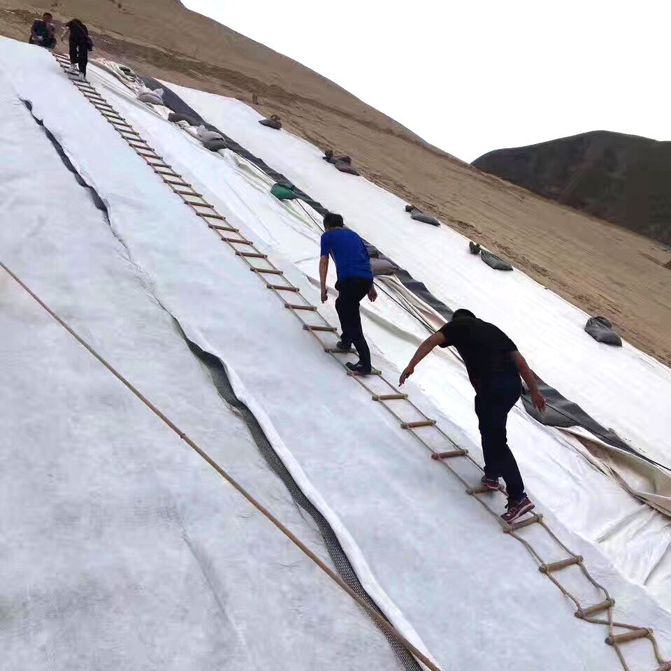 荔枝视频黄下载合成材料在大壩工程中的應用及注意事項